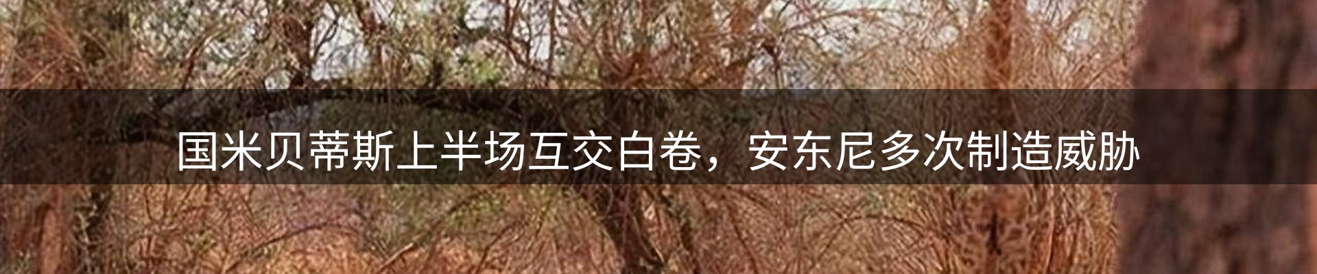 谈球吧要闻