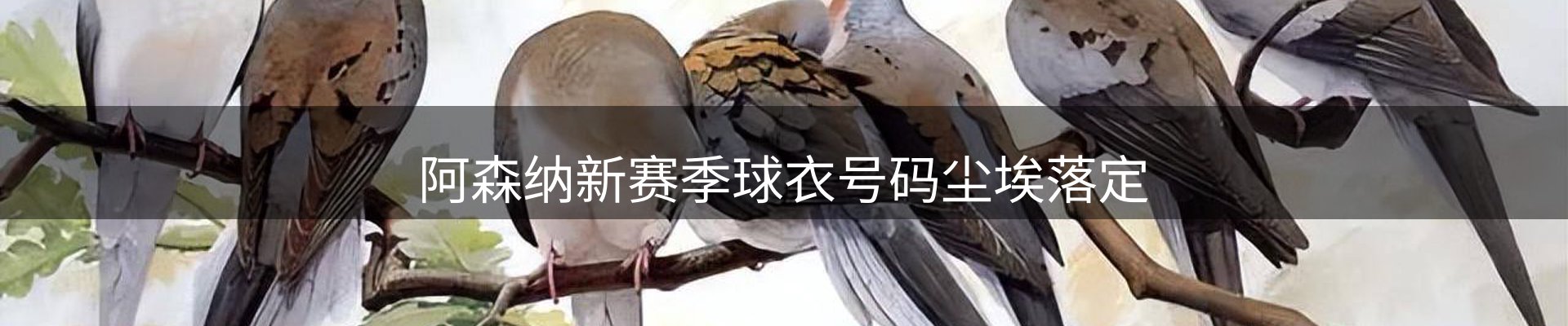 谈球吧要闻